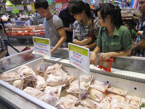Chân gà từ Ba Lan nghi nhiễm khuẩn có thể đã vào Việt Nam
