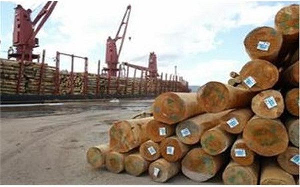 Hiệp hội Gỗ phản ứng gay gắt về cáo cuộc nhập lậu gỗ từ Campuchia của EIA