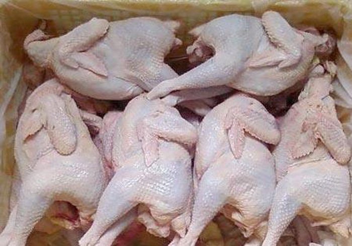 Nắm rõ dấu hiệu này, không lo mua nhầm gà thải loại độc hại