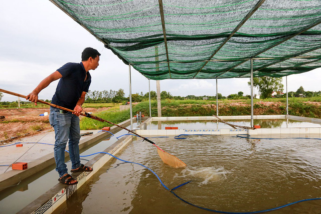 Anh Nguyễn Trung Hiếu chủ trang trại cá lăng giống ở huyện Củ Chi, TPHCM.