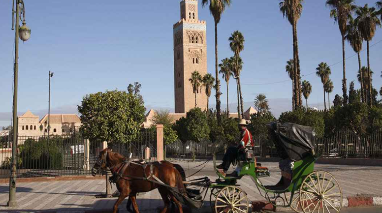 Bộ Công thương khuyến cáo doanh nghiệp Việt không giao dịch với một công ty tại Maroc 