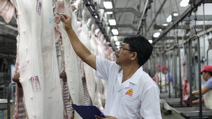 Xuất khẩu thịt lợn gặp khó vì xu hướng bảo hộ gia tăng