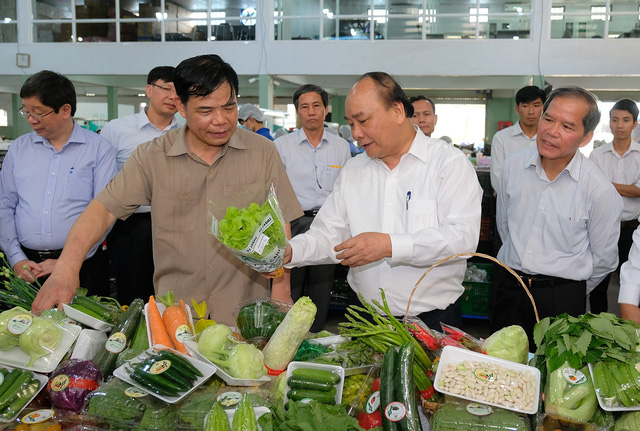 Thủ tướng: Xoài Sơn La đâu kém xoài Nhật, hoa quả Việt ngon thua gì Thái Lan!