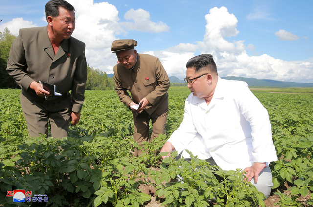 Nhà lãnh đạo Triều Tiên trực tiếp chỉ đạo công việc tại một nông trại. (Ảnh: KCNA)