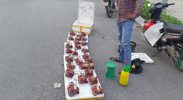 sạp cua biển giá bán siêu rẻ đang được khá nhiều người bán tại đường ở Hà Nội. Nhiều người dân rất lo lắng khi cua không rõ nguồn gốc được tuồn vào chợ.