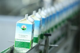Chủ thương hiệu sữa Mộc Châu bị cơ quan thuế 