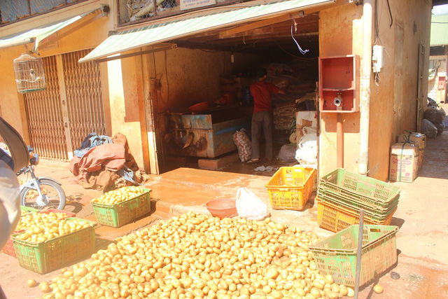 Tiểu thương đang tẩy rửa khoai tây Trung Quốc trong chợ nông sản Đà Lạt