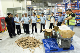 Bắt giữ gần 1 tấn ngà voi và vẩy tê tê tại cảng hàng không Nội Bài