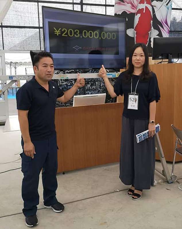 Cô Yingying, người đã đấu giá thành công chú cá Koi hiếm có với giá 203 triệu Yên. (Nguồn: Daily Mail)