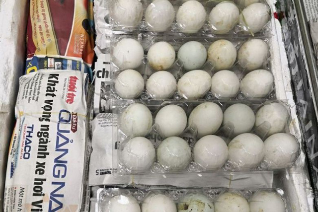 Số trứng vịt lộn bị bắt ở sân bay Singapore (Ảnh: AVA)