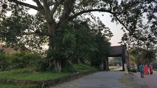 
Làng cổ Đường Lâm cách trung tâm Hà Nội khoảng 47 km. Tại đây có nhiều nhà vườn độc đáo được xây dựng bằng đá ong nguyên bản và gỗ có tuổi đời lên đến 300, 400 năm.
