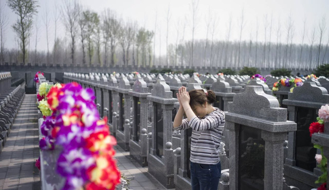 
Một cô gái tới thăm nghĩa trang ở Dagantangcun, Thông Châu, Bắc Kinh (Ảnh: AFP)
