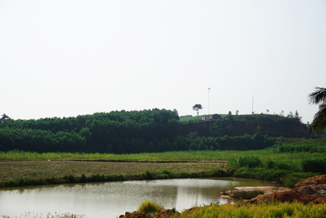 Khu vực đồi Triệu, nơi được xem là có trữ lượng đá quý lớn thứ 2 ở xã Châu Bình.