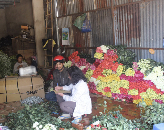 Vào các dịp lễ 20/10, các loại hoa tươi Đà Lạt tăng giá gấp 2- 3 lần