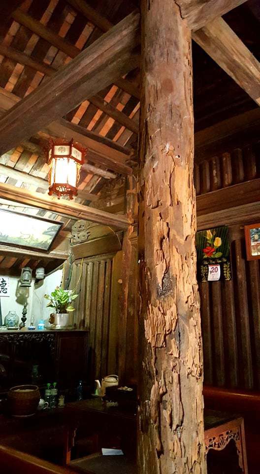 Một cột chống của ngôi nhà bị mối mọt nhưng được các chuyên gia Nhật Bản bảo tồn gần như nguyên vẹn