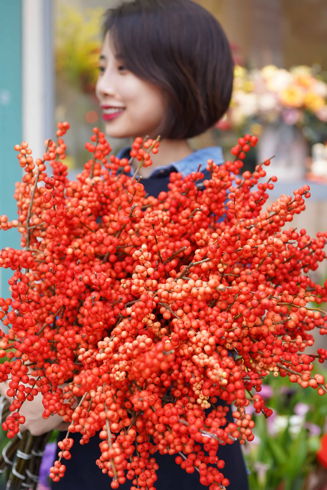 Winter Berries hay còn gọi là Đào đông là hoa nhập khẩu từ Hà Lan. Mỗi cành đào đông dài khoảng 70cm và có giá 250.000 đồng/cành.