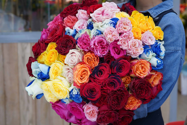 Nhưng bông hồng Ecuador nhiều màu sắc độc đáo