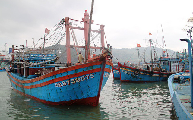 Các tàu cá đang vào neo đậu tại Cảng cá Quy Nhơn để bán cá.