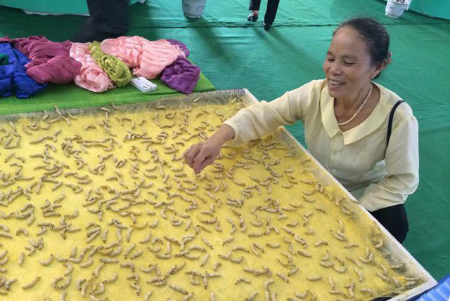 Duy nhất Việt Nam: Cụ bà luyện tằm tự dệt chăn tơ, bắt cọng sen 