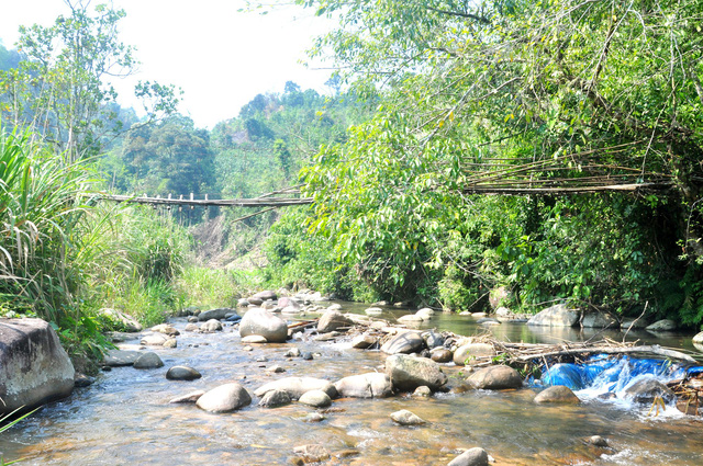 Dự án thủy điện Đăk Di 4 thuộc xã Trà Mai, trung tâm huyện Nam Trà My. UBND tỉnh Quảng Nam đã kiên quyết thu hồi dự án thủy điện này vì chủ đầu tư có nhiều sai phạm. Ảnh: Một con suối chảy qua trung tâm huyện Nam Trà My