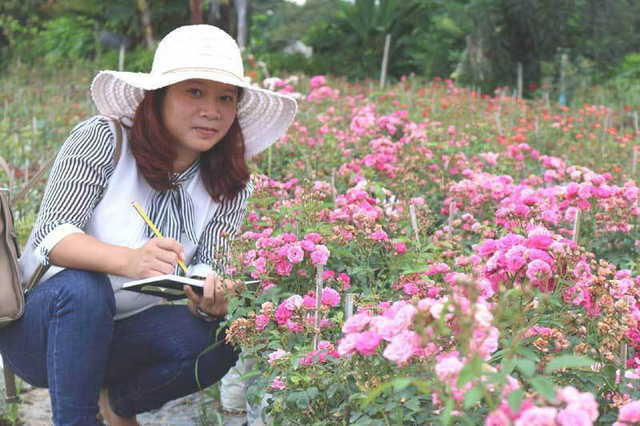 
Chị Tuyết dự tính sẽ tiếp tục mở rộng diện tích vườn hoa để có nguồn nguyên liệu làm trà, đáp ứng được một phần nhu cầu của thị trường
