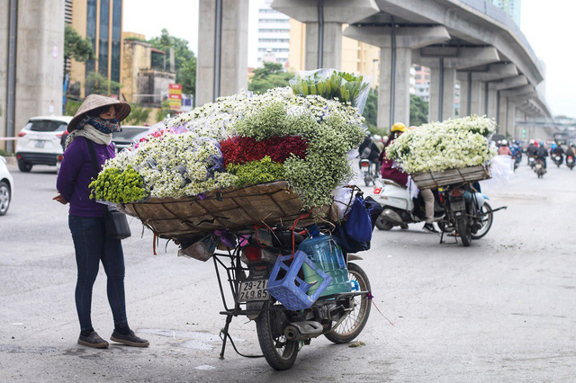 Cúc họa mi bắt đầu xuất hiện nhiều trên các tuyến phố ở Hà Nội.