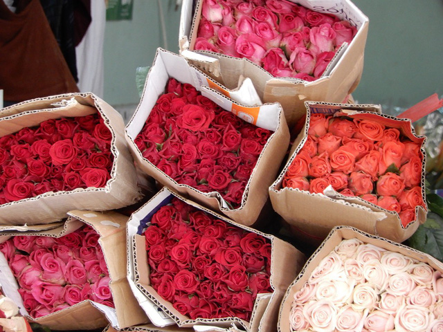 Dịp này, giá các loại hoa đều tăng, trong đó hoa hồng tăng gấp 3 lần 