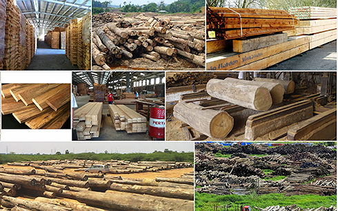 Ngành gỗ có hoàn toàn được lợi từ chiến tranh thương mại?