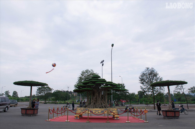 
Tác phẩm bonsai “Đại thế vân tùng” nằm trong chậu dát hơn 5 cây vàng và có tổng giá trị khoảng 10 tỷ đồng được trải thảm đỏ được đặt tại khu vực chính của triển lãm Sinh vật cảnh Việt Nam, diễn ra tại Đồng Mô (thị xã Sơn Tây, Hà Nội).
