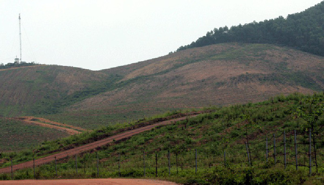 Đất rừng sản xuất của người dân các xã Cẩm Mỹ, Cẩm Quan (huyện Cẩm Xuyên) và Kỳ Tây, Kỳ Hợp (huyện Kỳ Anh) được thu hồi, cạo trọc để phục vụ dự án.