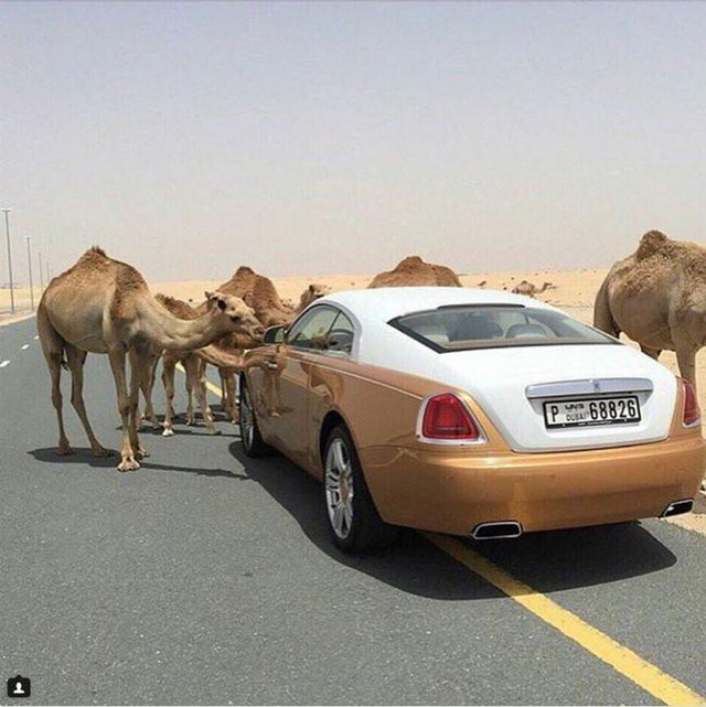 
Một tài khoản đáng chú ý khác là “Hội con nhà giàu Dubai”
