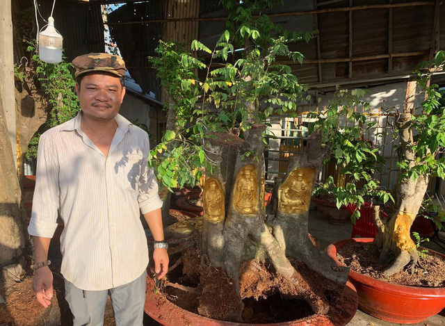 Anh Trần Quốc Việt bên vườn cây dát vàng của mình