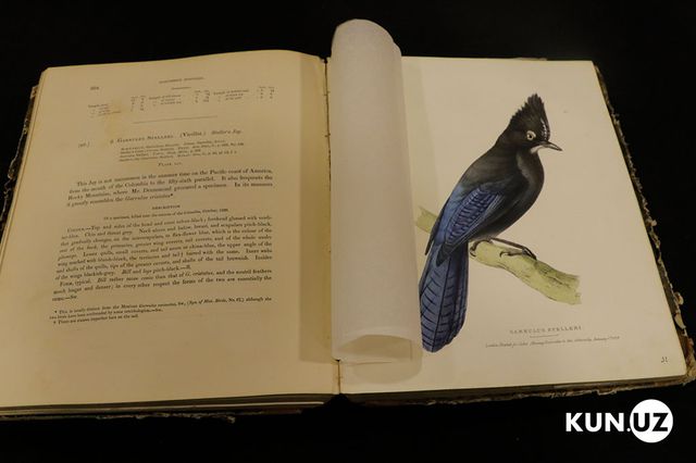 Cuốn sách “Book of Birds” (1830) có giá ước tính khoảng 150.000 USD.