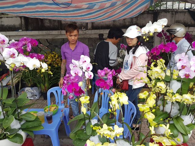 Lan hồ điệp khoe sắc rực rỡ, giá tiền triệu hút khách ở phố biển Nha Trang  - 7