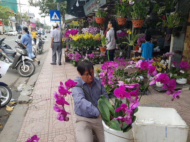 Lan hồ điệp khoe sắc rực rỡ, giá tiền triệu hút khách ở phố biển Nha Trang  - 9