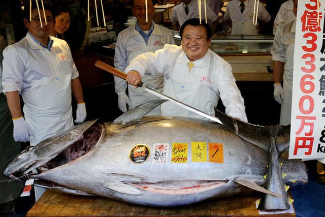 “Soi” những con cá đắt nhất thế giới, cá ngừ đứng đầu giá 71 tỷ/ con - 7