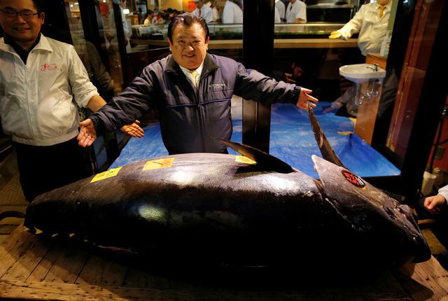 “Soi” những con cá đắt nhất thế giới, cá ngừ đứng đầu giá 71 tỷ/ con - 8