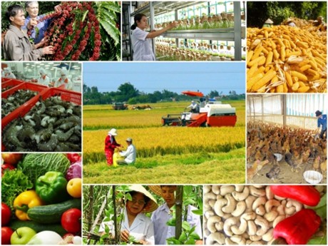 Xuất khẩu nông nghiệp được kỳ vọng sẽ tăng mạnh sau dịch