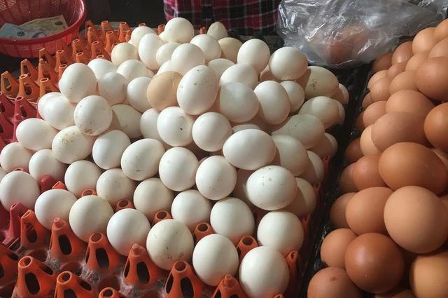 Người chăn nuôi đang thua lỗ nặng do giá trứng gia cầm giảm mạnh.