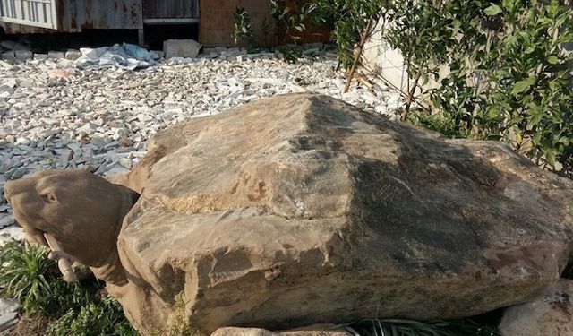 Ảnh: Cận cảnh rùa đá “Hồn thiêng đất Việt” nặng 20 tấn, 600 triệu không bán - 3