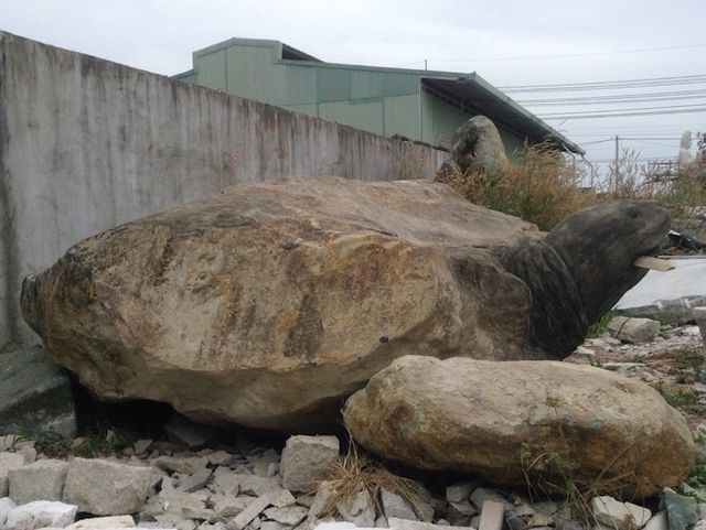 Ảnh: Cận cảnh rùa đá “Hồn thiêng đất Việt” nặng 20 tấn, 600 triệu không bán - 9