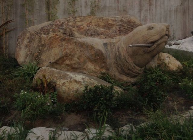 Ảnh: Cận cảnh rùa đá “Hồn thiêng đất Việt” nặng 20 tấn, 600 triệu không bán - 10