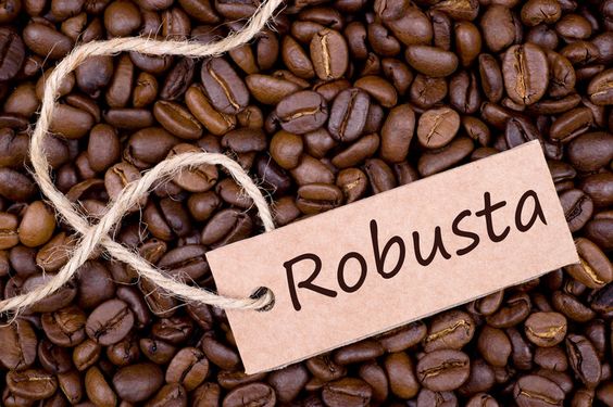 Một công ty cà phê ở Đắk Lắk sẽ IPO hơn 83% vốn vào cuối tháng này