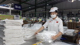 Nhựa An Phát đổi tên, phát hành thêm 8,5 triệu cổ phiếu cho người lao động