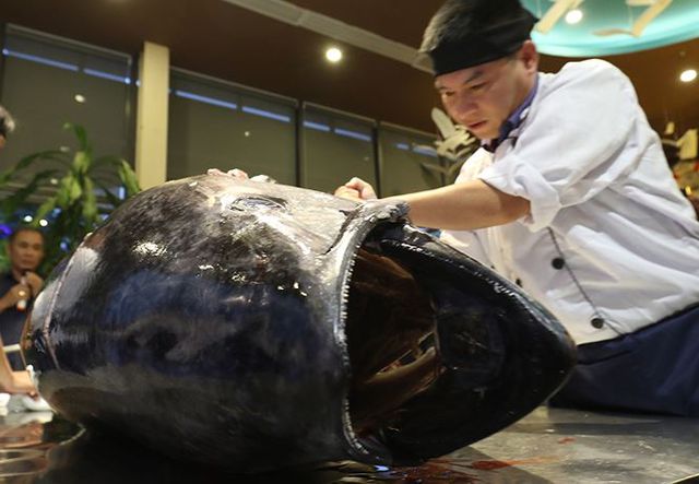 Đầu bếp Hà thành hì hục mổ cá ngừ vây xanh khủng, nặng 200kg - 4