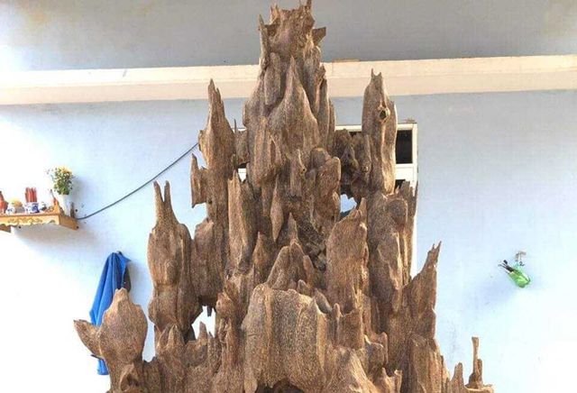 Lặn lội hơn 20 năm, đại gia Hà thành tốn hàng đống tiền để có bộ sưu tập từ gỗ trầm lũa - 11