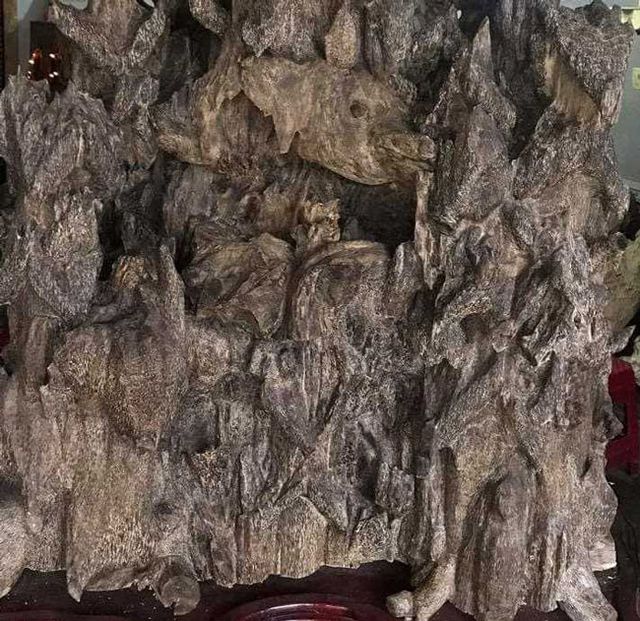Lặn lội hơn 20 năm, đại gia Hà thành tốn hàng đống tiền để có bộ sưu tập từ gỗ trầm lũa - 15