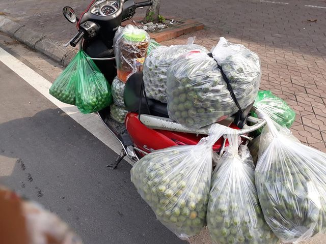 Doanh nhân Việt bỏ tiền tỷ mua bonsai Nhật; Dân thường “sang chảnh” ăn đuôi tôm hùm 3 triệu đồng/kg - 8