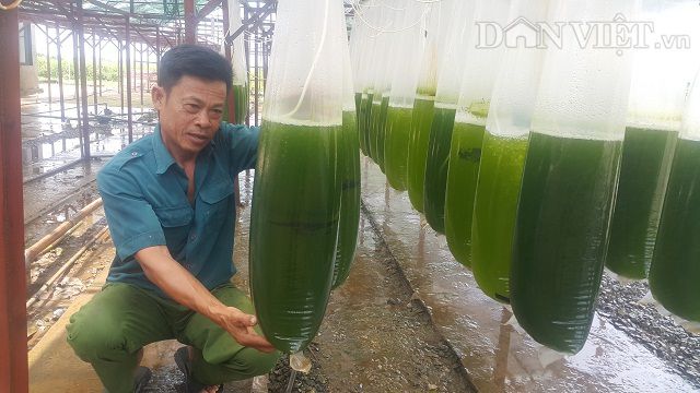 Chuyện lạ Thái Bình: Chế ngàn lít nước xanh lè, rót bán hàng tỷ đồng - 1