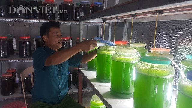 Chuyện lạ Thái Bình: Chế ngàn lít nước xanh lè, rót bán hàng tỷ đồng - 3